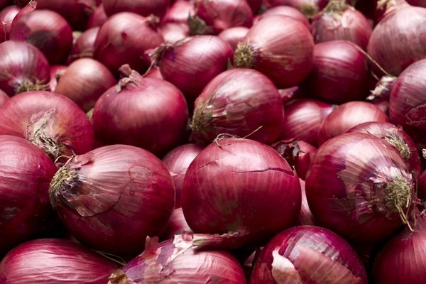 Блэкспрут onion ссылка 1blacksprut me